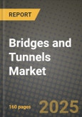 Bridges and Tunnels Market Outlook 2025-2034: Market Share, and Growth Analysis- Product Image