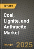 Coal, Lignite, and Anthracite Market Outlook 2025-2034: Market Share, and Growth Analysis- Product Image