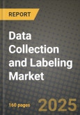Data Collection and Labeling Market Outlook 2025-2034: Market Share, and Growth Analysis- Product Image