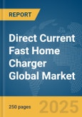 Direct Current (DC) Fast Home Charger Global Market Report 2025- Product Image