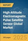 High-Altitude Electromagnetic Pulse (EMP) Satellite Sensor Global Market Report 2025- Product Image