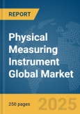 Physical Measuring Instrument Global Market Report 2025- Product Image