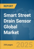Smart Street Drain Sensor Global Market Report 2025- Product Image