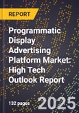 2025 Global Forecast for Programmatic Display Advertising Platform Market (2026-2031): High Tech Outlook Report- Product Image