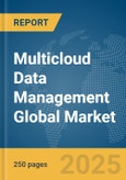 Multicloud Data Management Global Market Report 2025- Product Image