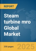 Steam turbine mro Global Market Report 2025- Product Image