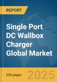 Single Port DC Wallbox Charger Global Market Report 2025- Product Image