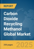 Carbon Dioxide Recycling Methanol Global Market Report 2025- Product Image