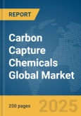 Carbon Capture Chemicals Global Market Report 2025- Product Image