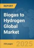 Biogas to Hydrogen Global Market Report 2025- Product Image