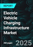 Electric Vehicle Charging Infrastructure Market Companies Analysis, Company Profiles, Strategic Developments, Mergers, Product Innovations, Revenue Insights, and Future Forecasts- Product Image