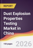 Dust Explosion Properties Testing Market in China- Product Image