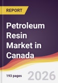 Petroleum Resin Market in Canada- Product Image