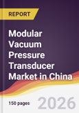 Modular Vacuum Pressure Transducer Market in China- Product Image