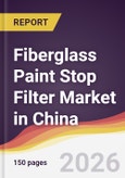 Fiberglass Paint Stop Filter Market in China- Product Image
