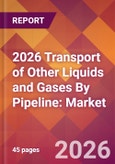 2026 Transport of Other Liquids and Gases By Pipeline: Global Market Size & Growth Report with Updated Country Recession Risk Forecasts- Product Image