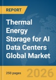 Thermal Energy Storage for AI Data Centers Global Market Report 2026- Product Image