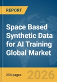 Space Based Synthetic Data for AI Training Global Market Report 2026- Product Image