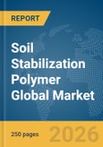 Soil Stabilization Polymer Global Market Report 2026- Product Image