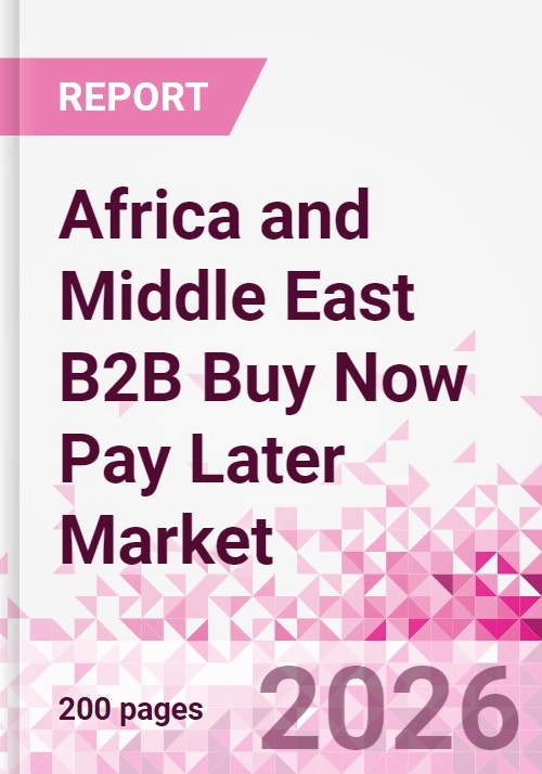 Africa and Middle East B2B Buy Now Pay Later Business and Investment ...