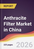Anthracite Filter Market in China- Product Image