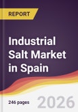 Industrial Salt Market in Spain- Product Image