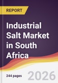 Industrial Salt Market in South Africa- Product Image