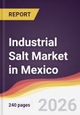 Industrial Salt Market in Mexico- Product Image
