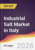 Industrial Salt Market in Italy- Product Image