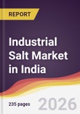 Industrial Salt Market in India- Product Image