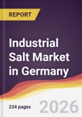 Industrial Salt Market in Germany- Product Image
