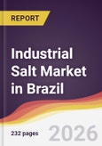Industrial Salt Market in Brazil- Product Image