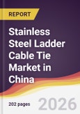 Stainless Steel Ladder Cable Tie Market in China- Product Image