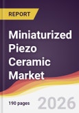 Miniaturized Piezo Ceramic Market Report: Trends, Forecast and Competitive Analysis to 2031- Product Image