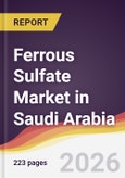 Ferrous Sulfate Market in Saudi Arabia- Product Image