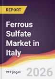 Ferrous Sulfate Market in Italy- Product Image