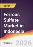 Ferrous Sulfate Market in Indonesia- Product Image