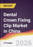 Dental Crown Fixing Clip Market in China- Product Image