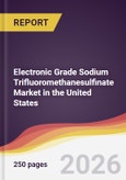 Electronic Grade Sodium Trifluoromethanesulfinate Market in the United States- Product Image