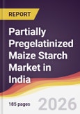Partially Pregelatinized Maize Starch Market in India- Product Image