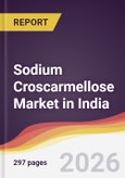 Sodium Croscarmellose Market in India- Product Image
