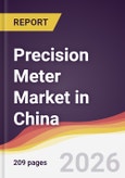 Precision Meter Market in China- Product Image