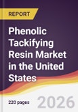 Phenolic Tackifying Resin Market in the United States- Product Image