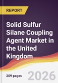Solid Sulfur Silane Coupling Agent Market in the United Kingdom- Product Image