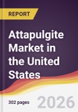 Attapulgite Market in the United States- Product Image