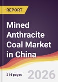 Mined Anthracite Coal Market in China- Product Image