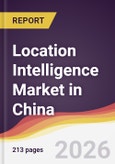 Location Intelligence Market in China- Product Image