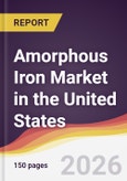 Amorphous Iron Market in the United States- Product Image