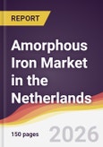 Amorphous Iron Market in the Netherlands- Product Image