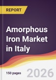 Amorphous Iron Market in Italy- Product Image